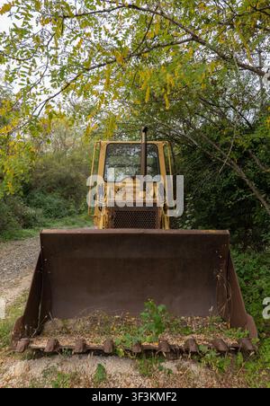 A yellow bulldozer stands idle on a dirt path, partially reclaimed by surrounding vegetation, with dense early‑autumn foliage framing the scene. Stock Photo