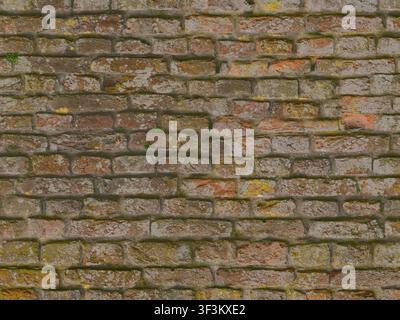 An ancient castle brick wall covered in weathered moss and lichen, showing significant age and historical character. Stock Photo