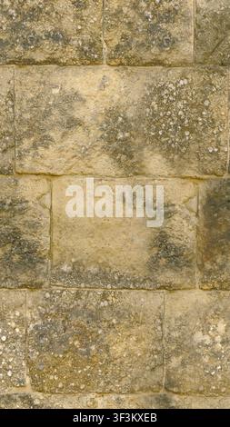 A high-detail background texture of aged sandstone blocks showing organic moss and mineral weathering. Stock Photo