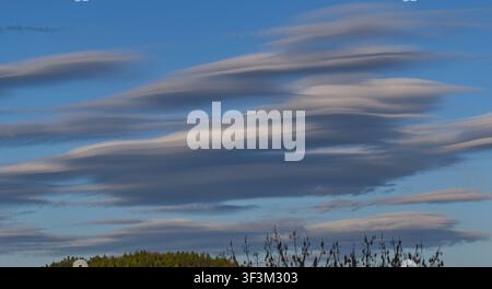 Striking lenticular clouds (Altocumulus lenticularis) forming in a blue sky over a forested hill. Stock Photo
