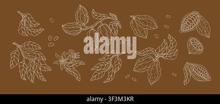 Cocoa chocolate fruits set on brown background. Hand drawn outline sketch of cacao beans, branches and flowers in vintage linear style. Cocoa vector i Stock Vector
