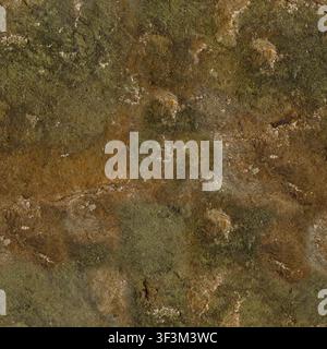 A high-detail texture of a rock wall covered in green moss and earthy brown tones. Stock Photo