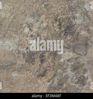 A detailed texture of light brown, weathered sandstone with soft organic color variations. Stock Photo