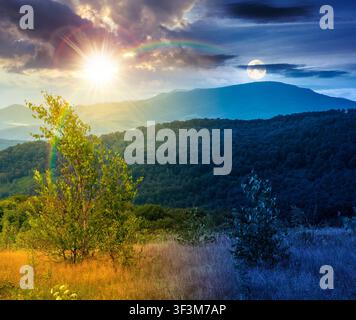 tree on a field in mountain landscape. day meet night. sun and moon over green countryside of ukraine in summer. cloudy weather. carpathian landscape Stock Photo