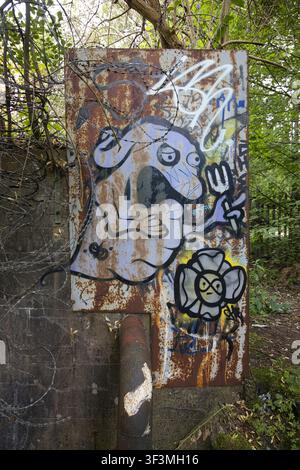 Close-up image of graffiti on a metal plate or industrial panel mounted on a brick wall along Woodland Road next to the river Spodden in Rochdale, UK. Stock Photo