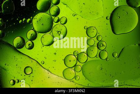 Green oil bubbles floating on water, forming an abstract macro background Stock Photo