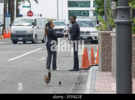 Asteet scene in George Town, Cayman Islands with chickens crossing the road Stock Photo