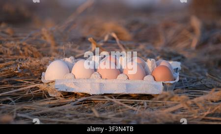 Fresh Brown Organic Eggs in Carton Stock Photo