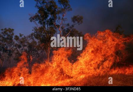 A BUSHFIRE NEAR THE GIBB RIVER ROAD IN THE KIMBERLEY REGION OF WESTERN AUSTRALIA. Stock Photo