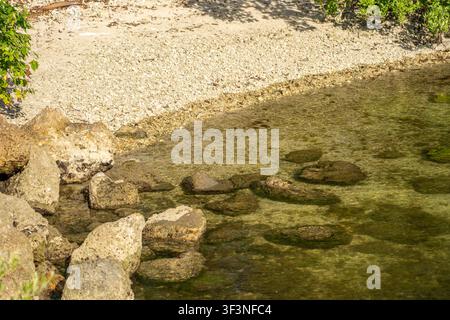 Heavy grey limestone rocks stand completely submerged in the clear, shallow water right next to a dry gravel shore covered with small stones. Stock Photo