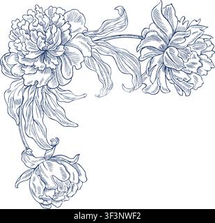 Corner frame of peony flowers. Vector, graphic illustration in blue. Hand-drawn. On a white background. For postcards, invitations, greetings, and Stock Vector