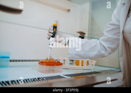 Laboratory Scientist Using Pipette to Prepare Samples in Sterile Research Lab With Gloves Stock Photo