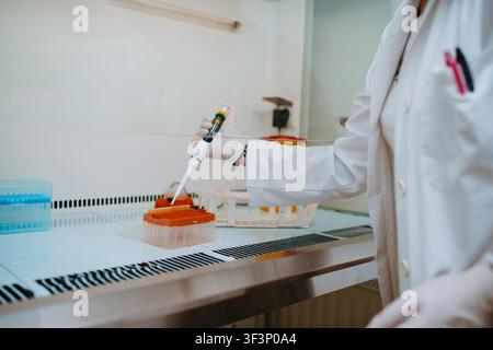 Scientist Using Pipette in Laboratory Biosafety Cabinet Preparing Sample Tubes for Molecular Research Stock Photo