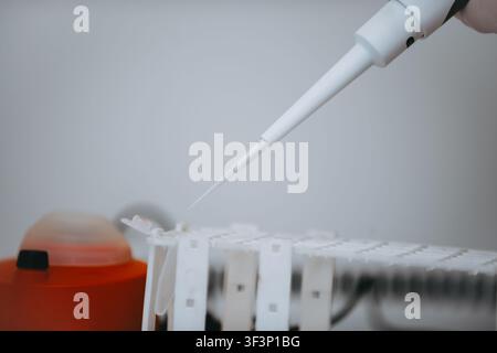 Laboratory Pipette Dispensing Liquid Into Microtube Rack for Clinical Research and Testing Stock Photo