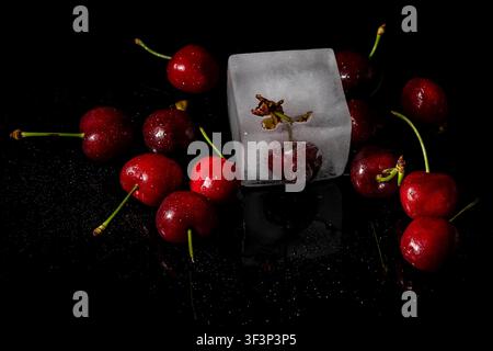 A group of cherries is wet with water drops and one is trapped in an ice cube, on a shiny black reflective background Stock Photo