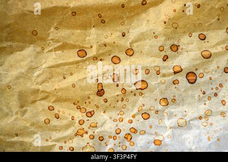 Vintage parchment paper texture with scattered stains, wrinkles and aged surface. Rustic background ideal for retro, editorial and design projects. To Stock Photo