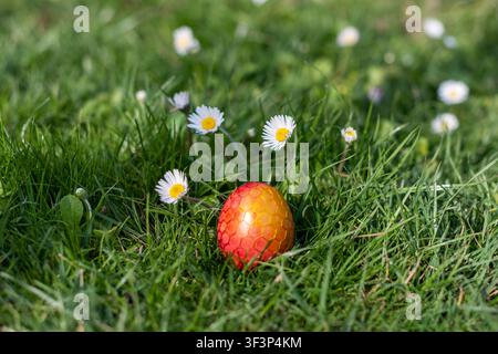 Single red-orange Easter egg with a decorative honeycomb texture resting on fresh green grass among blooming daisies. Natural daylight creates a clean Stock Photo