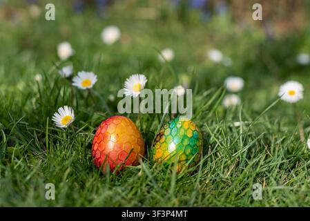 Red-orange and blue-green Easter eggs with decorative honeycomb texture resting on fresh spring grass surrounded by blooming daisies. Natural outdoor Stock Photo