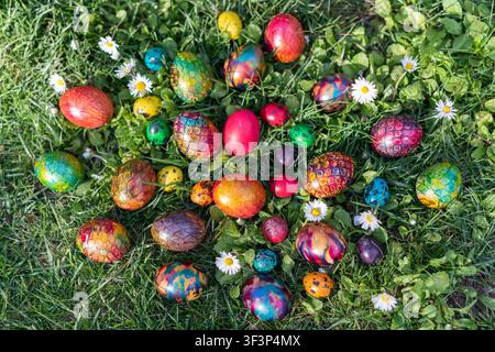 Top view of numerous painted chicken and quail Easter eggs scattered across a green meadow with blooming daisies. Bright spring colors and sharp focus Stock Photo