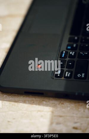 Tiny ladybug crawls across dark laptop keyboard with soft natural lighting Stock Photo
