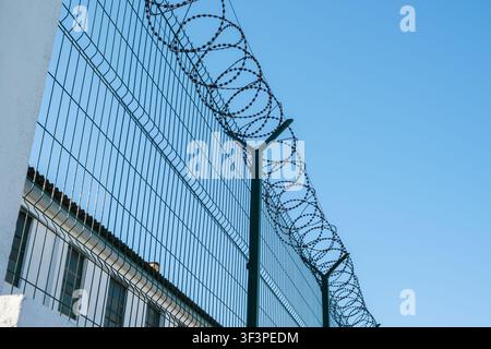 Metal mesh fence topped with coiled barbed wire against a bright blue sky, indicating confinement Stock Photo