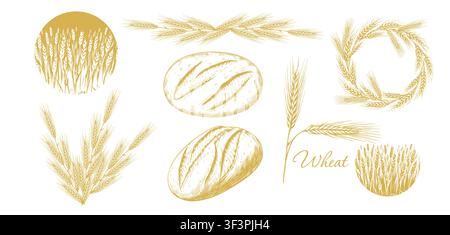 Graphic silhouettes of grain ears . Wheat and Bread Hand drawn. Not AI, vector illustration. Stock Vector