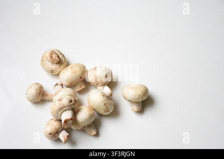 Several fresh mushrooms arranged on a white table, highlighting their natural texture and organic appearance. Ideal for concepts related to healthy Stock Photo
