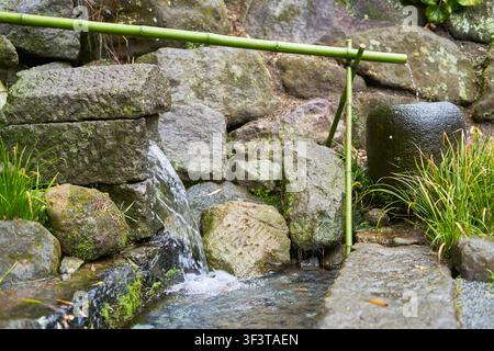 A traditional Japanese garden water feature with a green bamboo pipe (kakei) extending horizontally across the top, supported by a vertical bamboo Stock Photo