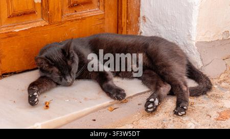 Peaceful black cat sleeping on a stone doorstep beside a wooden door, relaxed in warm daylight. Cozy home entrance scene with calm pet and soft shadow Stock Photo