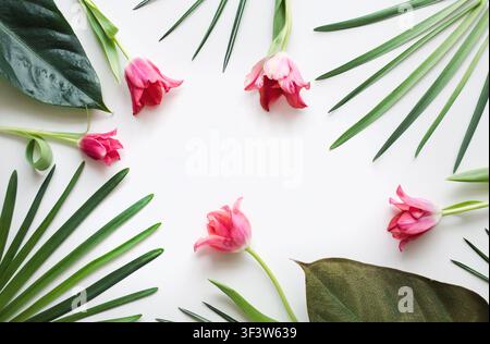 Pastel Easter eggs arranged on a soft white feather background with generous copy space, creating a light spring holiday flat lay ideal for greeting c Stock Photo