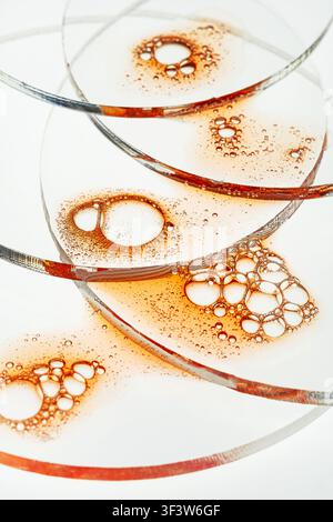 Abstract macro photo of amber liquid with bubbles and foam on overlapping clear glass circles, creating a clean, minimal background with warm tones an Stock Photo
