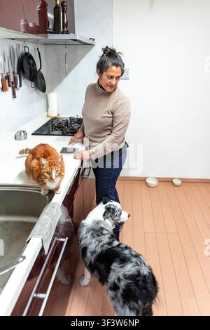 Woman in a modern kitchen preparing pet food while an orange tabby cat sits on the counter and a herding dog waits on the floor, showing daily pet car Stock Photo