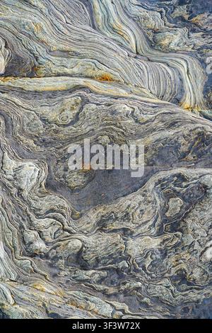 Detailed metamorphic rock surface with swirling, layered stone veins in gray and blue tones, accented by subtle gold mineral flecks, forming a natural Stock Photo