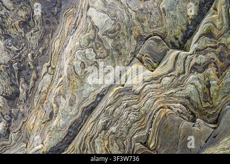 Close-up of metamorphic rock surface with swirling bands and folded strata in gray, beige, and gold tones, forming an abstract stone texture backgroun Stock Photo