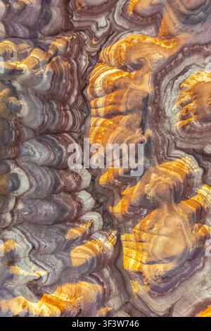 Close-up of colorful sandstone formations showing layered erosion patterns and natural desert texture. Abstract background from Utah, USA, with warm g Stock Photo