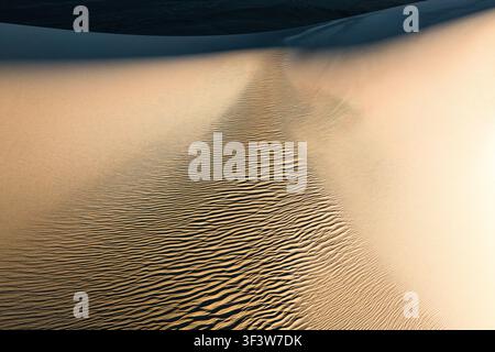 Abstract desert sand dune with fine rippled texture and flowing patterns, warm golden tones and smooth curves, ideal as a natural background for desig Stock Photo