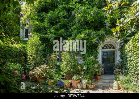Overgrown residential house in London Stock Photo