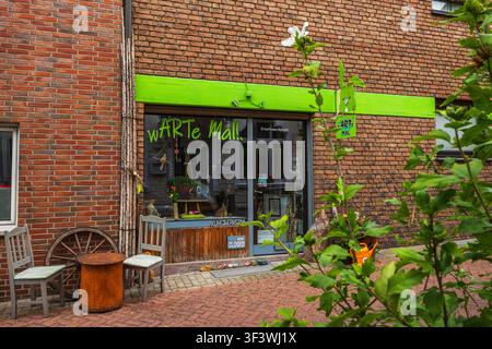 Cozy creative art workshop storefront with brick facade, handmade decor, wooden chairs, and green plants on a charming European town street Stock Photo