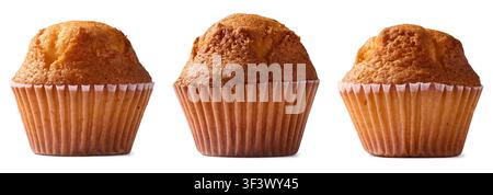 baked plain muffins isolated white background, golden brown sponge cakes in paper cups, in close-up side view Stock Photo