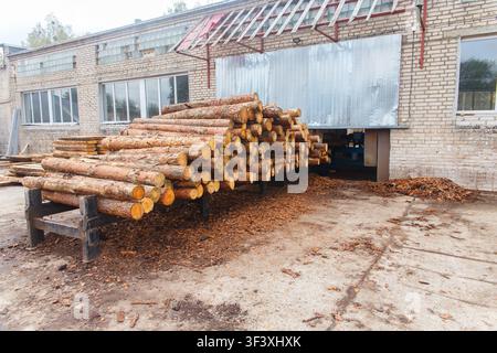 Stacked pine logs outside an old brick sawmill with metal siding, showing timber storage and industrial wood processing yard. Stock Photo