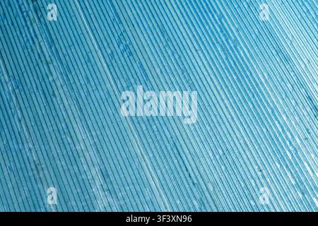 Close up of blue translucent corrugated polycarbonate sheet showing parallel diagonal lines and textured surface. High Quality Photo Stock Photo