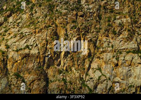 Close-up of a rough rocky cliff face with sparse green vegetation. Harsh sunlight creates strong contrasts and shadows on the textured surface. Stock Photo