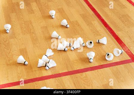 badminton shuttlecocks on indoor court floor Stock Photo