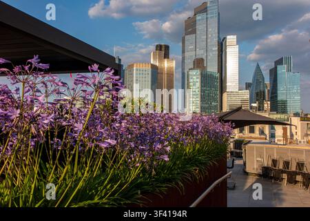 End of another day in the summer in the City of London at sunset Stock Photo