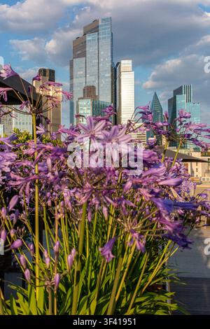 End of another day in the summer in the City of London at sunset Stock Photo