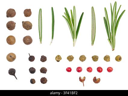 Fresh green rosemary sprigs and dry multi-colored peppercorns on an isolated background. Stock Photo