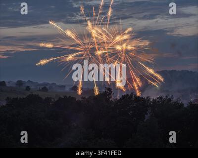 Trails of bright golden light spread outward during an Independence Day firework display over trees Stock Photo