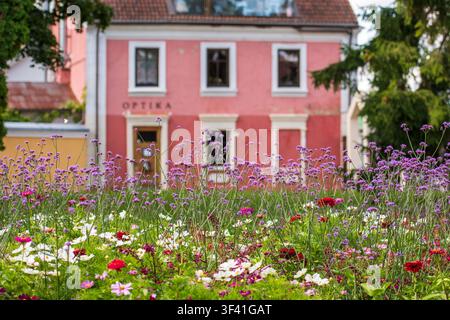 Garden and historical building in the old town of Kedainiai, Lithuania, Europe Stock Photo