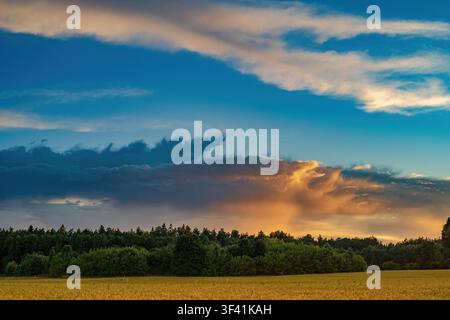 A departing summer thunderstorm illuminated by golden sunset light. Dark cumulonimbus clouds and a glowing rain shaft rise above a rural landscape Stock Photo