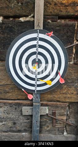 Dartboard with Colorful Darts Mounted on Rustic Wooden Wall. Stock Photo